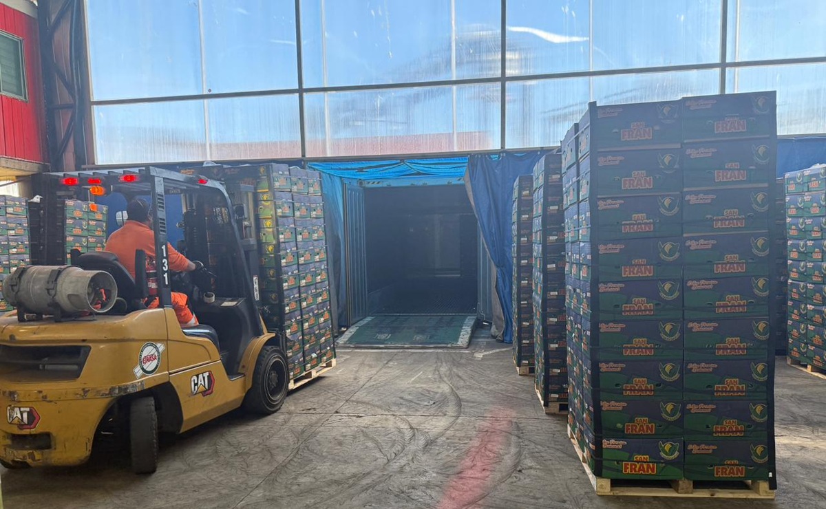 STI refuerza sitio de inspección del SAG para optimizar control fitosanitario de importaciones vegetales