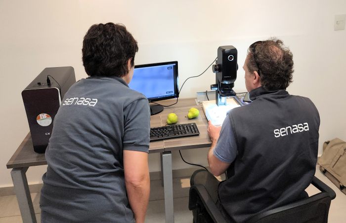 SENASA habilita Unidad Entomológica para certificar fruta fresca con destino a Estados Unidos