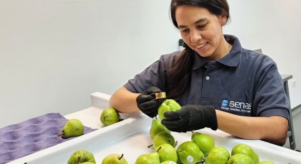 SENASA habilita Unidad Entomológica para certificar fruta fresca con destino a Estados Unidos