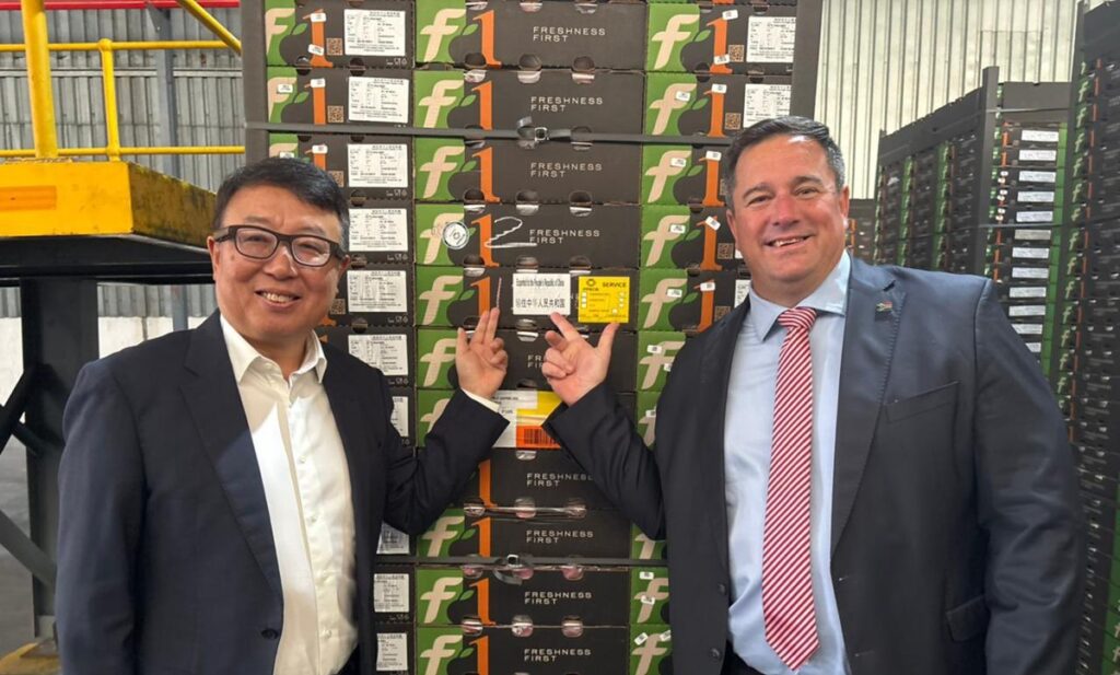 Sudáfrica concreta primer envío de carozos a China y abre nuevo capítulo para su industria exportadora