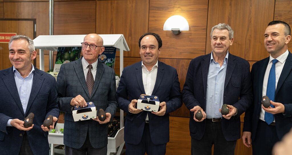 ‘Aguacate Valenciano’ renueva su marca para posicionar su producto como un referente en España y Europa