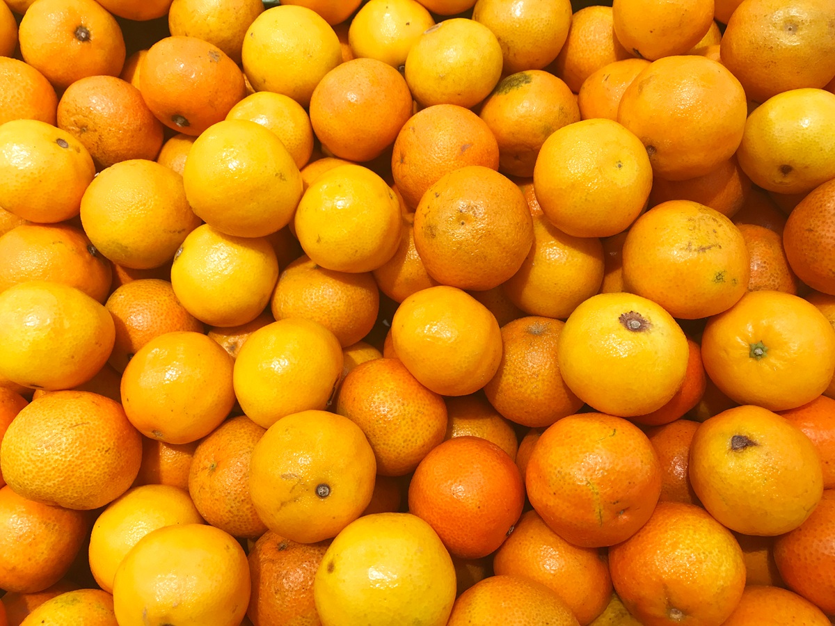 Controversia por naranjas egipcias con residuos prohibidos en Europa