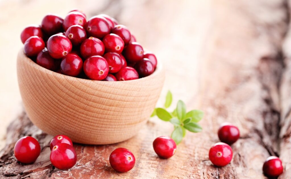 Estudios revelan potencial del cranberry