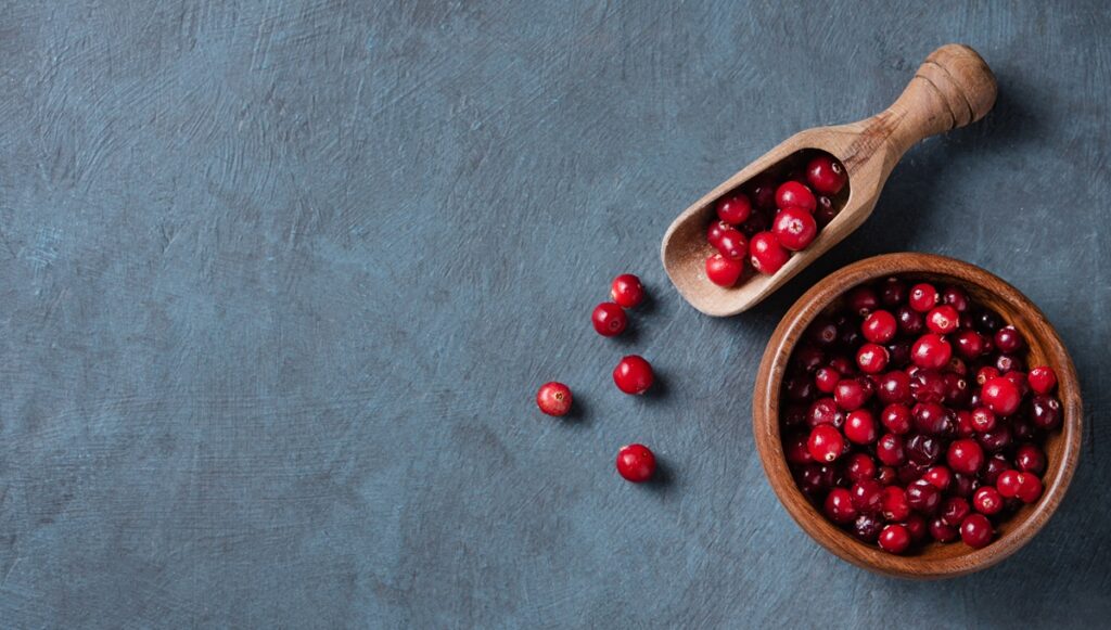 EE.UU. autoriza importación de cranberries frescos chilenos