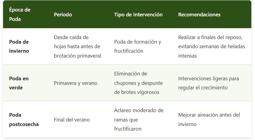 poda del ciruelo D'agen
