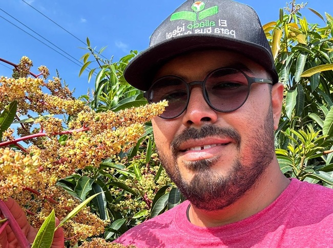 Asia y Medio Oriente: dos mercados “muy atractivos” para los mangos de Michoacán