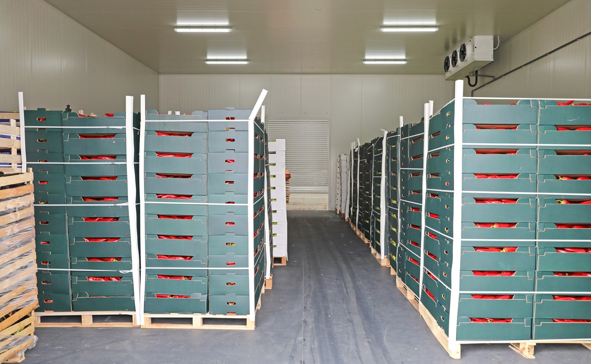 El tratamiento que abre mercados a la fruta… o los cierra