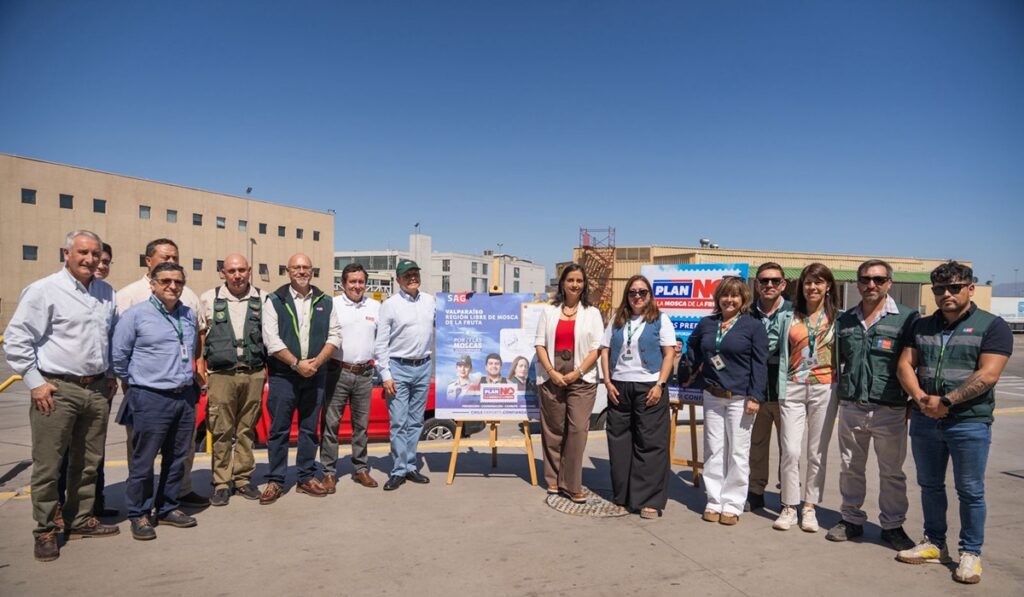 Chile: Región de Valparaíso es declarada libre de mosca de la fruta