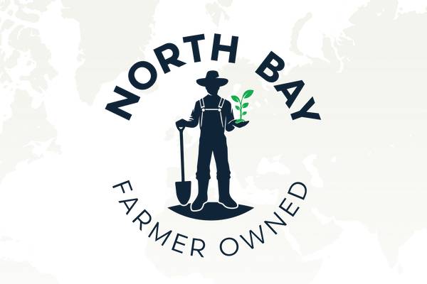 El corazón de la cosecha: North Bay Produce presenta un cambio de marca global en Fruit Logistica 2026