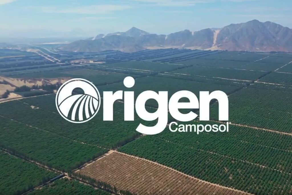Camposol lanza ORIGEN, su nuevo programa de mejora genética de arándanos