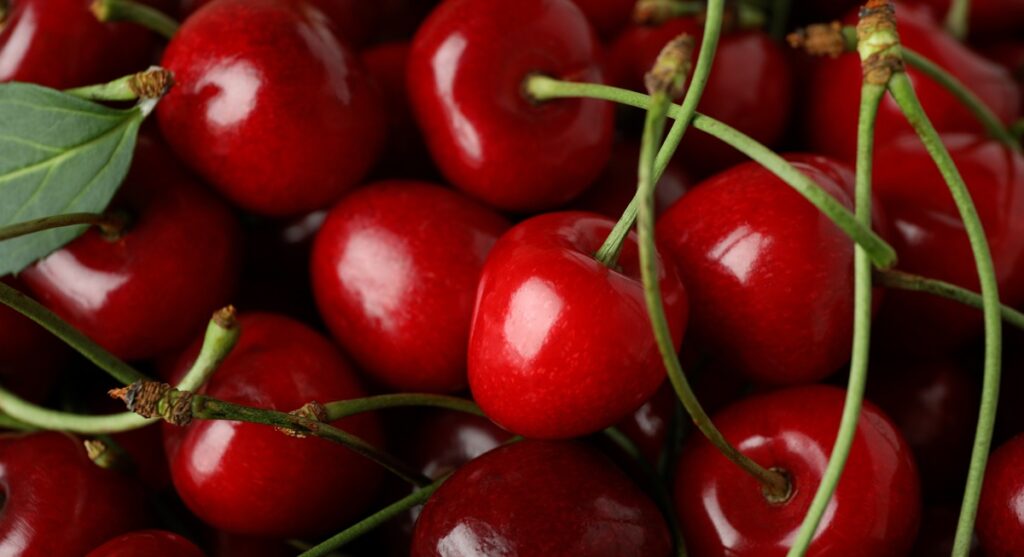 Las cerezas en el mercado de Qingdao están 20% más baratas que en el mismo período del año pasado