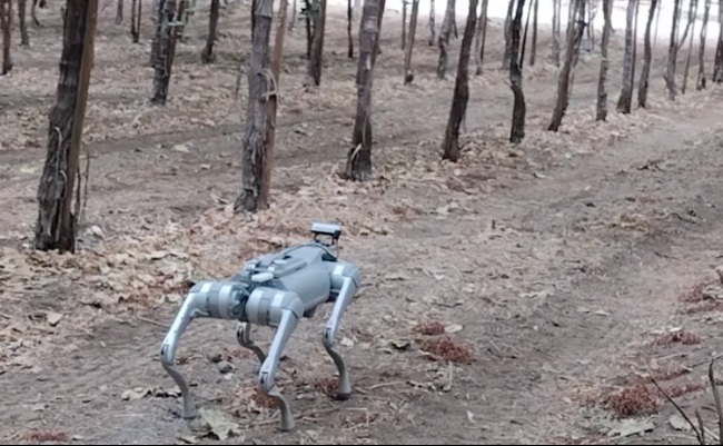 Robots agrícolas impulsan revolución en el campo: el 2perro agrónomo” que monitorea cultivos con IA