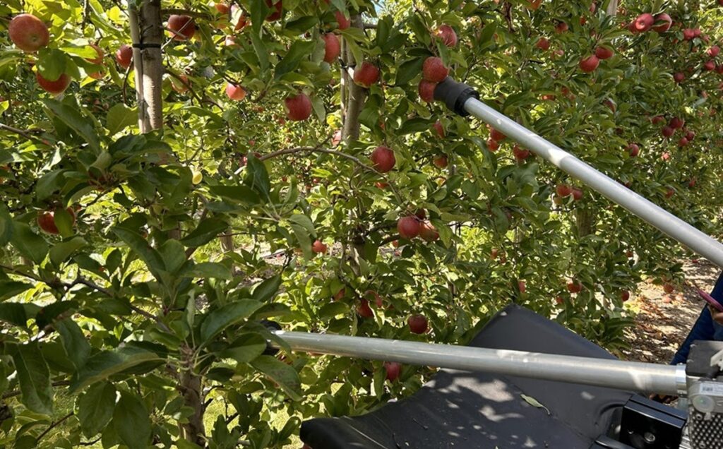Robot de próxima generación para manzanas apunta a una tasa de cosecha del 80%