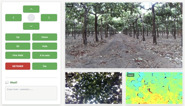 Robots agrícolas impulsan revolución en el campo: el 2perro agrónomo” que monitorea cultivos con IA