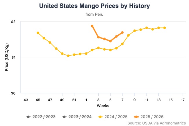 Temporada de mango: lluvias en el norte de Perú impactan volúmenes hacia Estados Unidos 5 Temporada de mango: lluvias en el norte de Perú impactan volúmenes hacia Estados Unidos