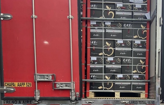 Primer contenedor de manzanas chilenas llega a Paraguay y marca hito comercial 6 Primer contenedor de manzanas chilenas llega a Paraguay y marca hito comercial