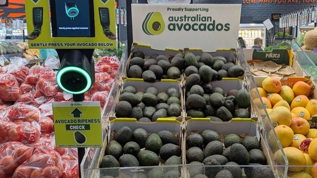 Australia prueba escáner de madurez en aguacates para reducir frustraciones del consumidor y pérdidas en retail