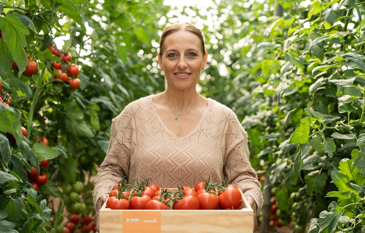 BASF | Nunhems acerca su innovación en tomate a las principales zonas productoras del sureste español