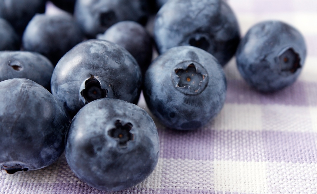 Arándanos y frambuesas impulsan expansión de la producción de berries en México