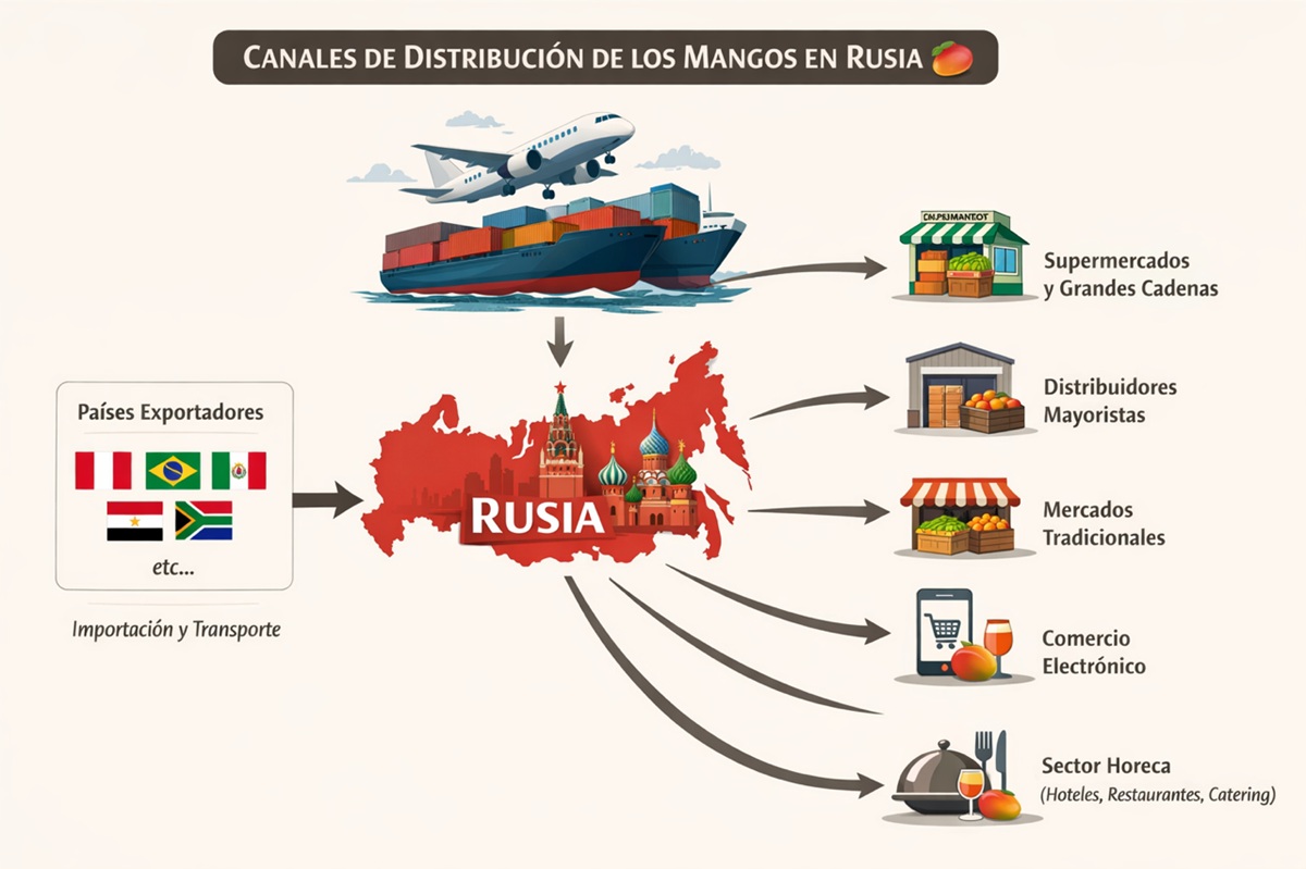 Exportación de mango a Rusia: tendencias de consumo y desafíos operativos en 2026 2 Exportación de mango a Rusia: tendencias de consumo y desafíos operativos en 2026