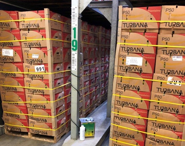 Catalytic Generators y Exp. Group: más de 30 colaborando en la maduración de fruta en Estados Unidos