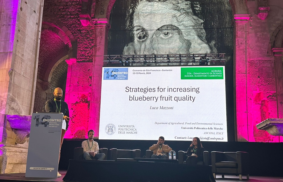 De la expansión a la madurez: el sector del arándano en Portugal en una encrucijada estratégica 4 Encuentro Nacional del Arándano (ENPM), organizado por la Associação Nacional de Produtores de Mirtilo (ANPM)