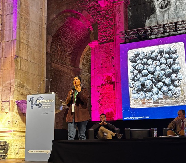 De la expansión a la madurez: el sector del arándano en Portugal en una encrucijada estratégica 7 Encuentro Nacional del Arándano (ENPM), organizado por la Associação Nacional de Produtores de Mirtilo (ANPM)