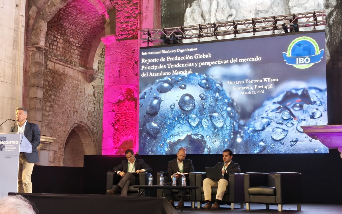 De la expansión a la madurez: el sector del arándano en Portugal en una encrucijada estratégica 3 Encuentro Nacional del Arándano (ENPM), organizado por la Associação Nacional de Produtores de Mirtilo (ANPM)