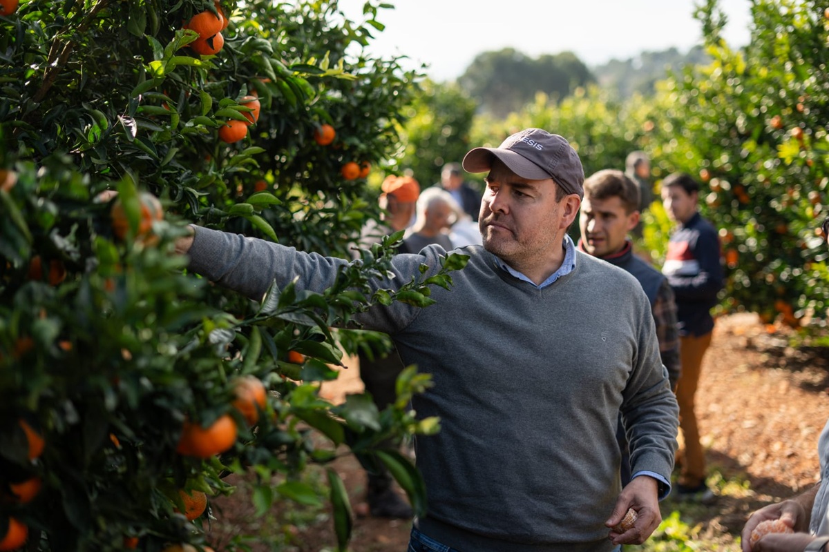 GENESIS FRESH activa campaña 2026 de licencias para Havva™ y Sigal™ en plena planificación de nuevas plantaciones