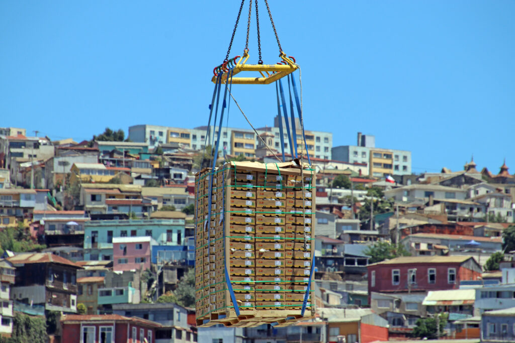 Cool Carriers y TPV consolidan una temporada récord con más de 143 mil pallets movilizados en Valparaíso