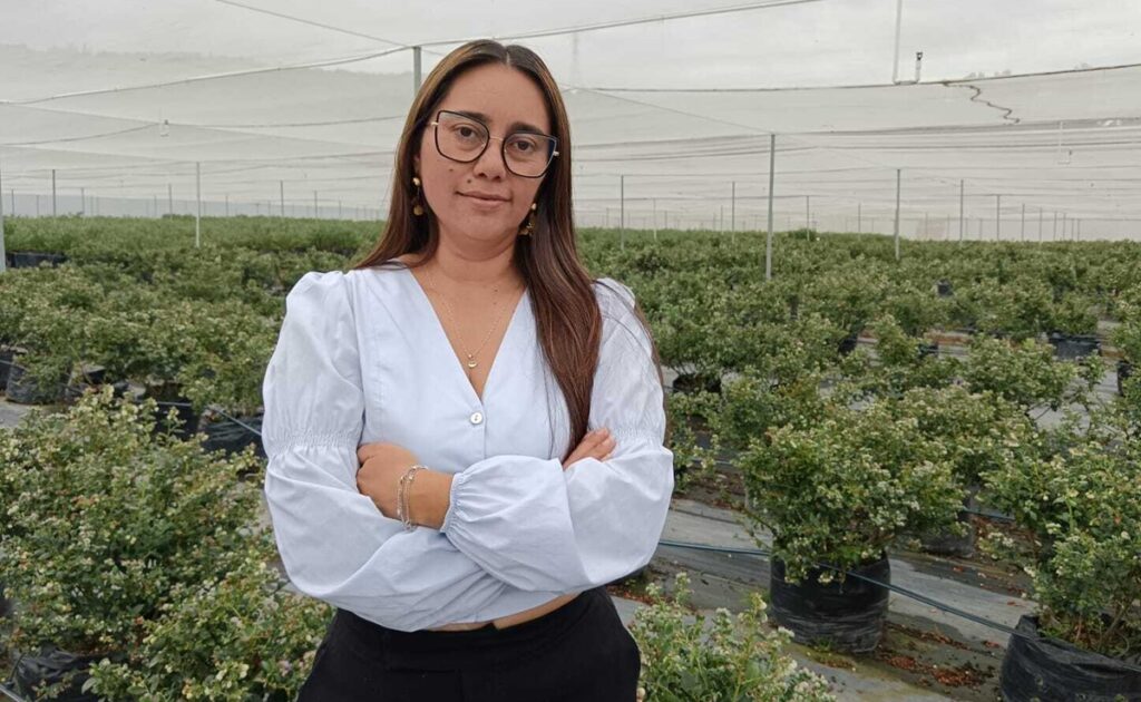 Ingrid Camelo, la mujer que potencia el arándano colombiano: “Soy muy defensora de nuestro producto”