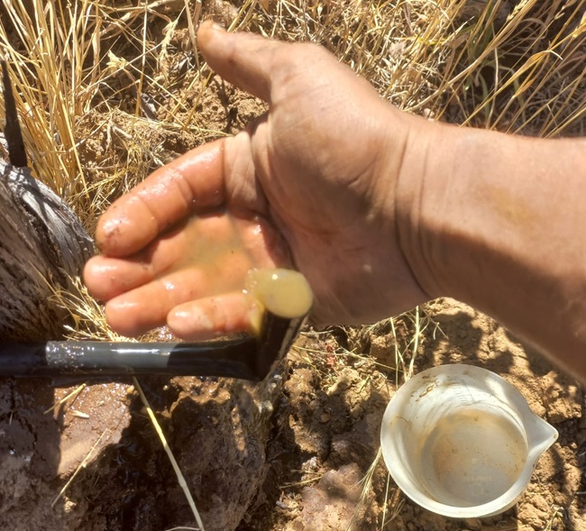 Día Mundial del Agua: entregan claves para un riego más eficiente y sostenible en la agricultura