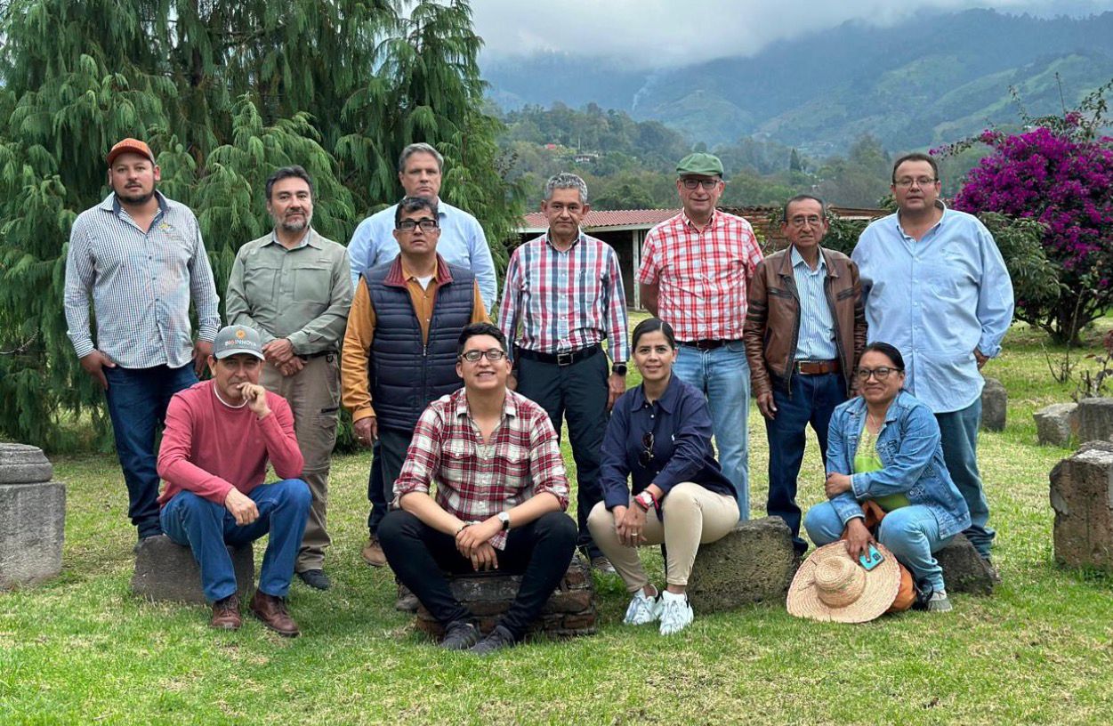 La mujer que abrió camino en el aguacate de Jalisco la historia de María Gabriela Rodríguez