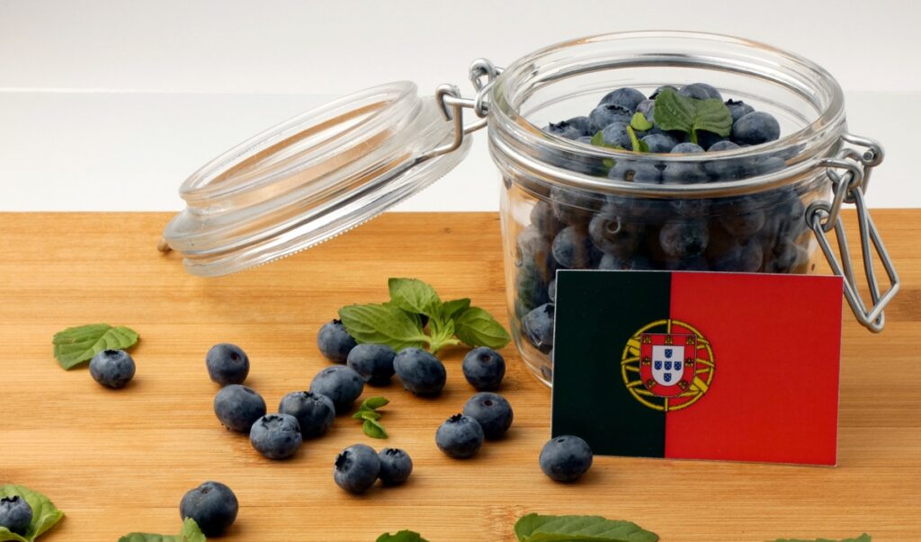 De la expansión a la madurez: el sector del arándano en Portugal en una encrucijada estratégica