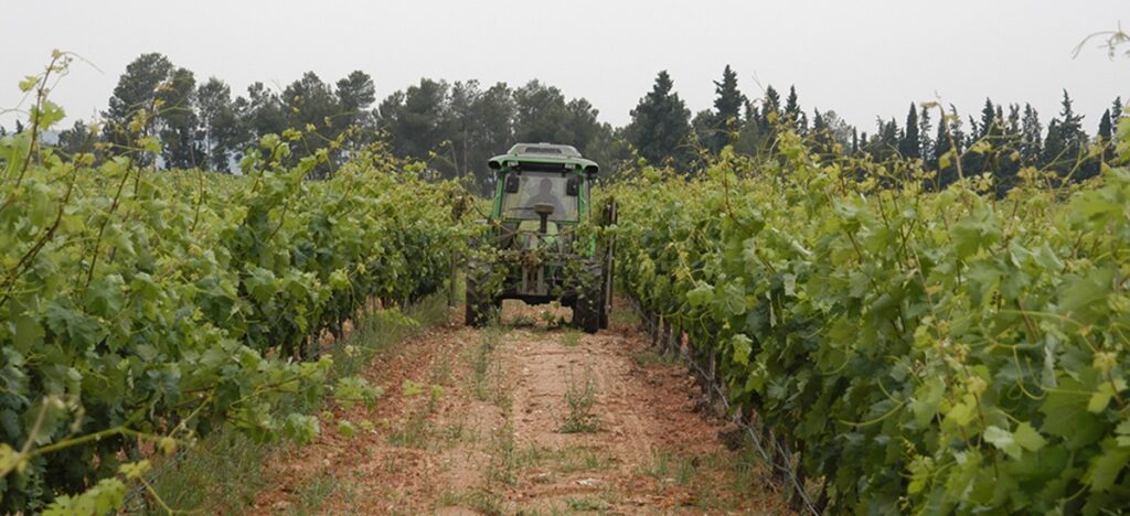 AVA-ASAJA pide rebajar la tensión con Irán ante el impacto en fertilizantes y exportaciones