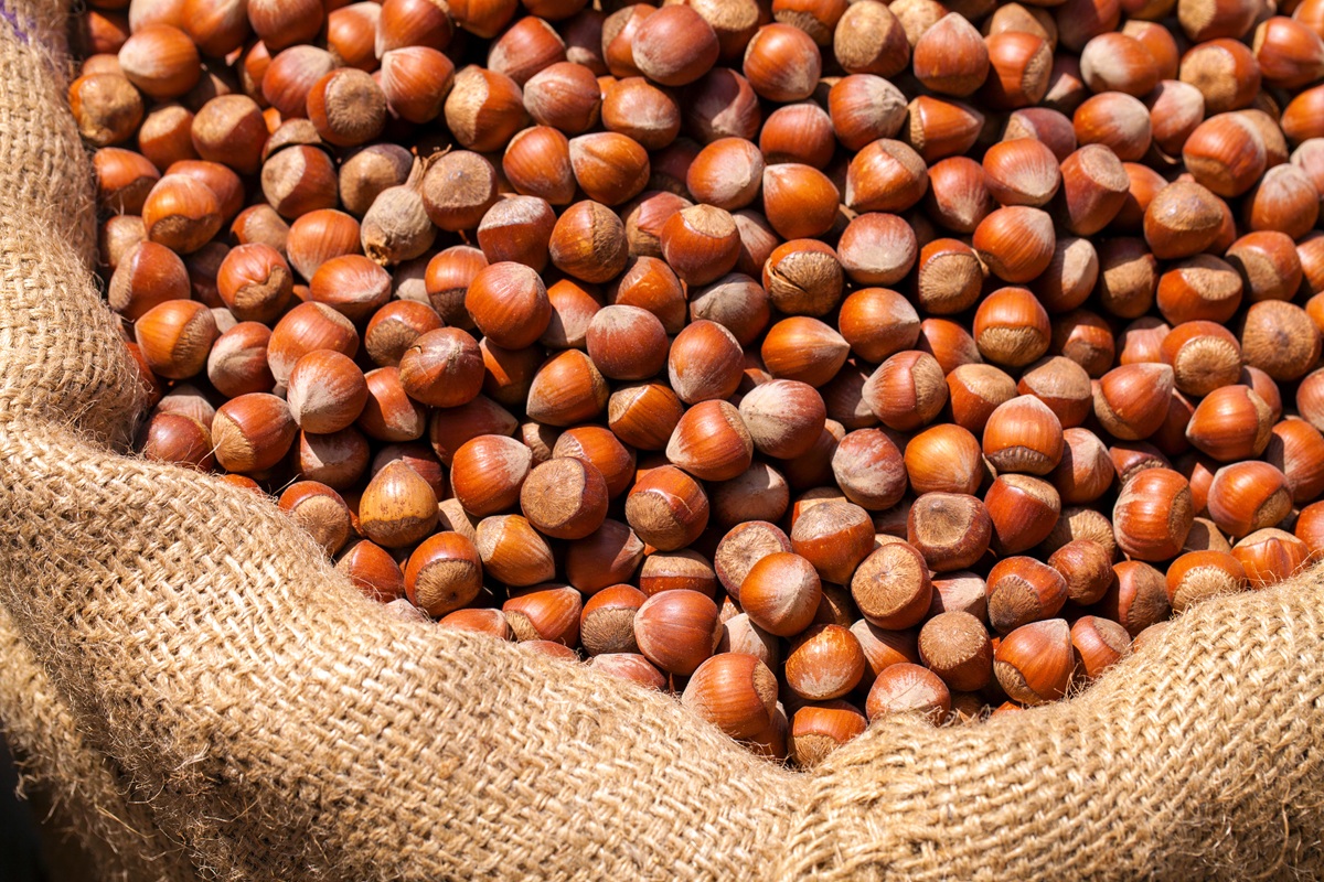 Nueva metodología chilena para medir capacidad antioxidante de la cáscara de avellanas europeas