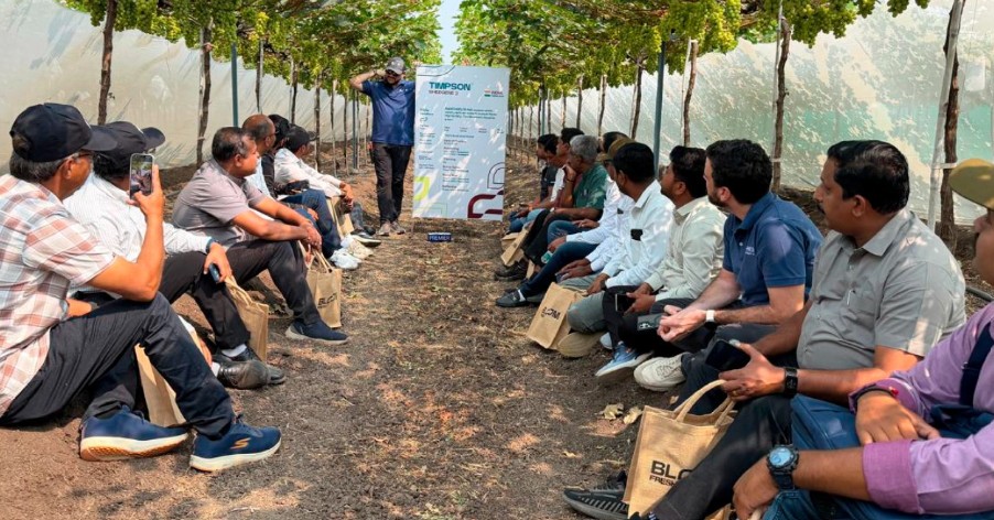 Cambio varietal avanza en India: BLOOM FRESH™ inicia producción comercial de uvas premium