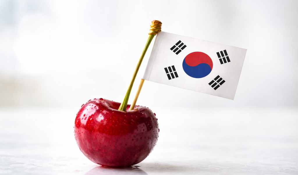 Corea del Sur se consolida como mercado premium para la cereza chilena
