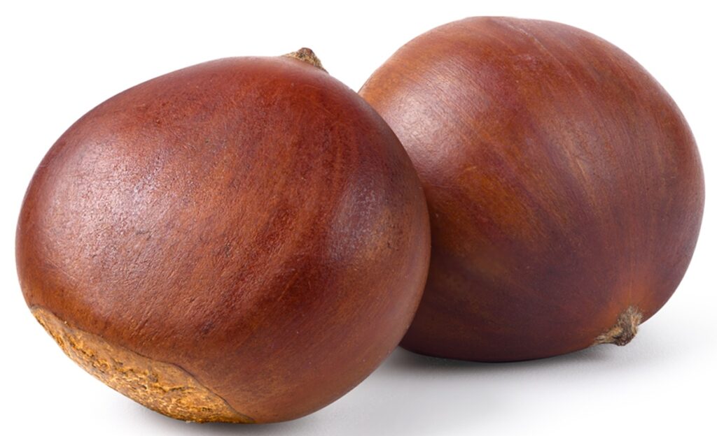 Científicos trabajan en un sistema no invasivo para conocer calidad de las castañas