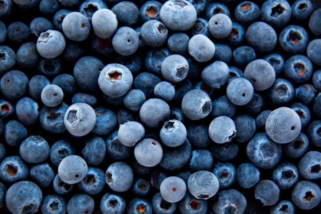 FDA emite un retiro Clase I de 24 toneladas de arándanos congelados por posible contaminación con Listeria