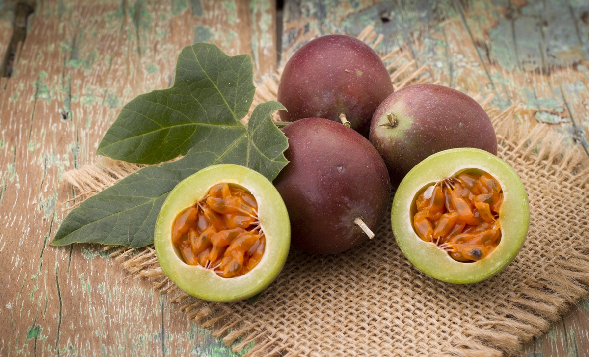 Gulupa: estudio revela que el cultivo requiere solo el 37% del nitrógeno que se aplica habitualmente