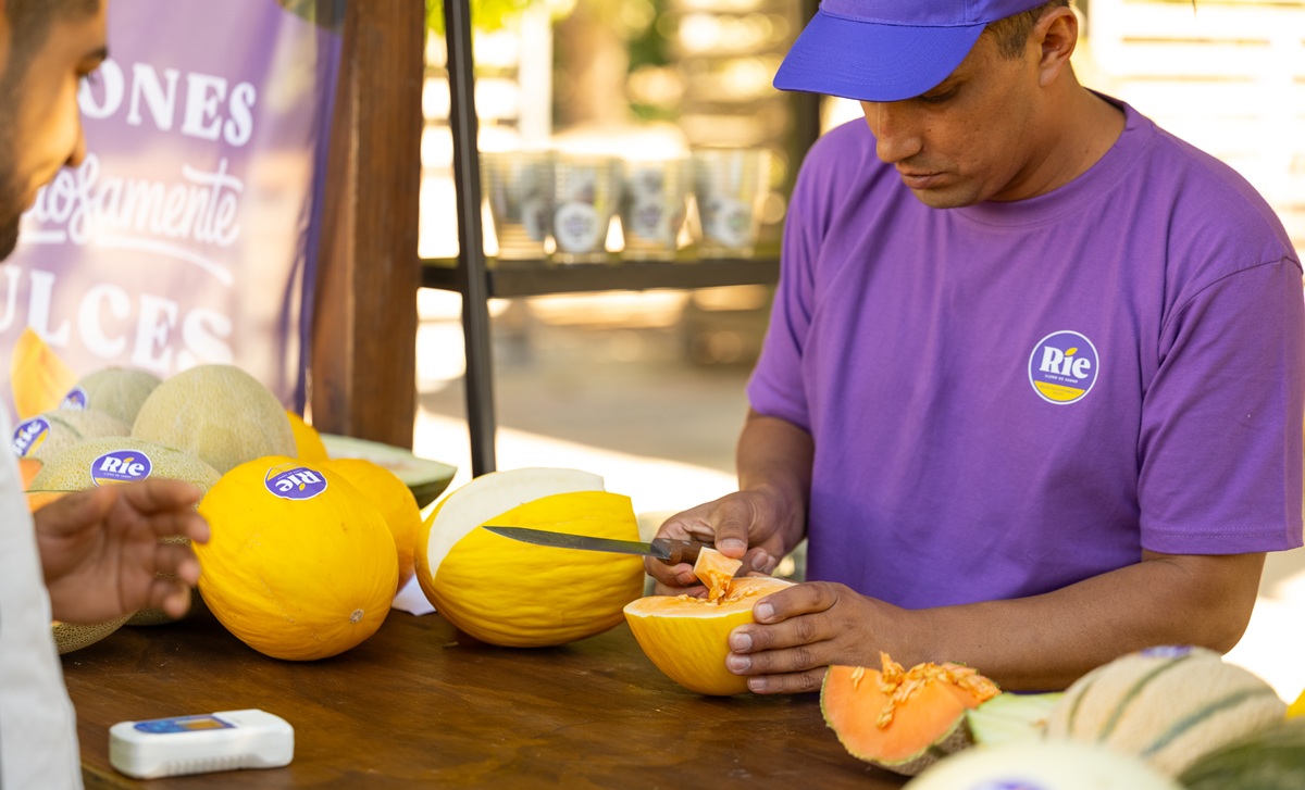 Bayer Seminis apuesta por hortalizas diferenciadas en Chile con sandías amarillas, melones Orange Candy y tomates más sabrosos
