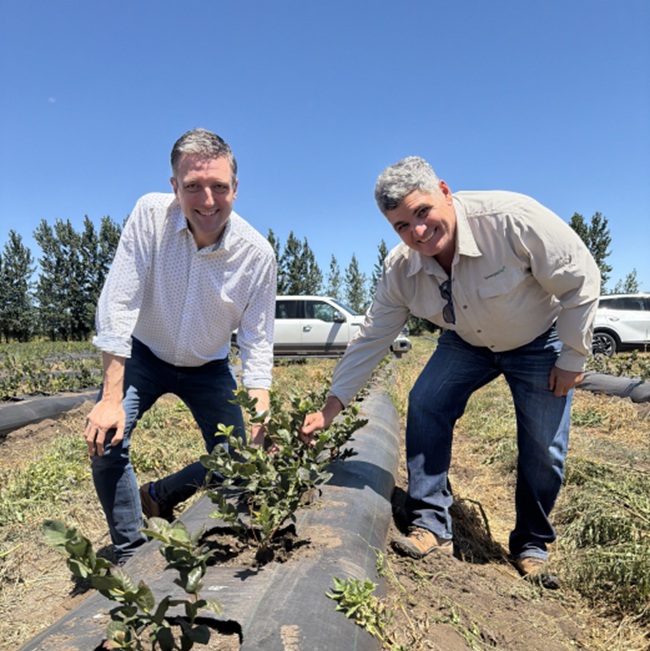 jamie petchell gpg rolando garcia synergiabio