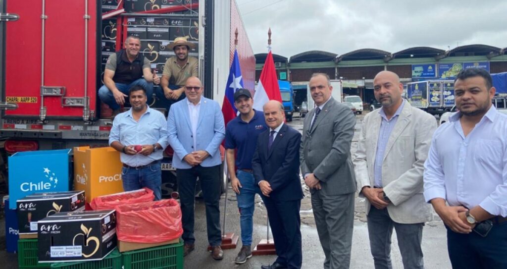 Primer contenedor de manzanas chilenas llega a Paraguay y marca hito comercial