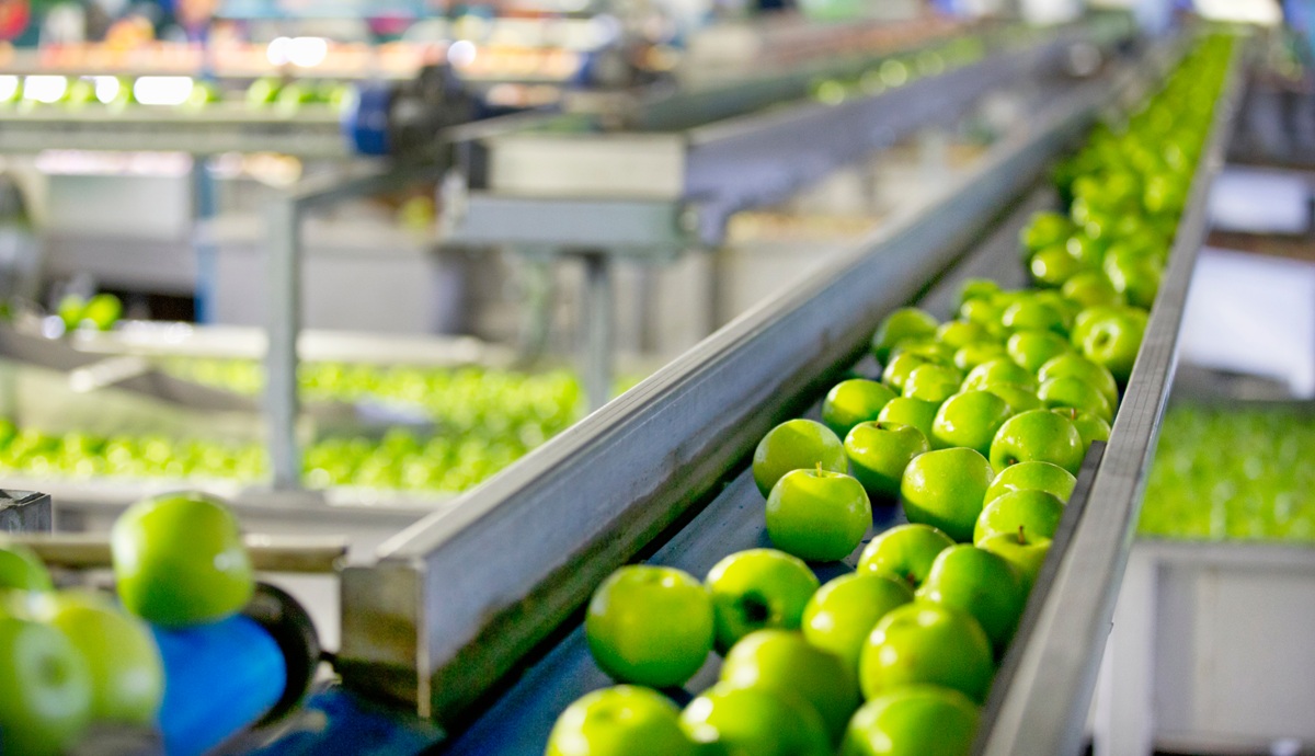 Producción local de manzanas en Reino Unido muestra menor impacto hídrico que importaciones