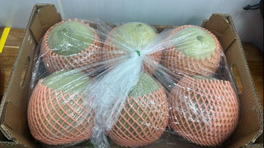 Exportaciones de melón de Honduras avanzan a China y amplían su presencia en Asia