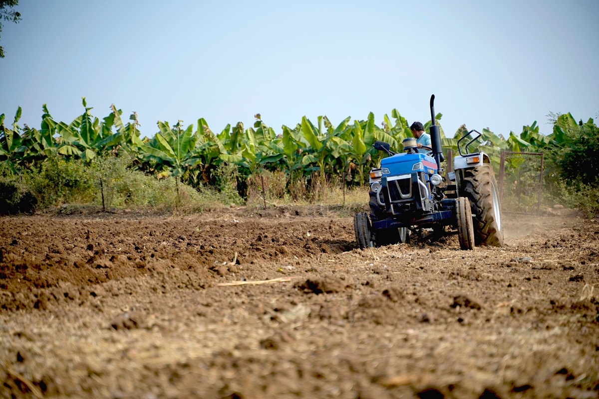 Crisis naviera detiene rutas hacia Medio Oriente para la mayor exportación frutícola de India: el banano