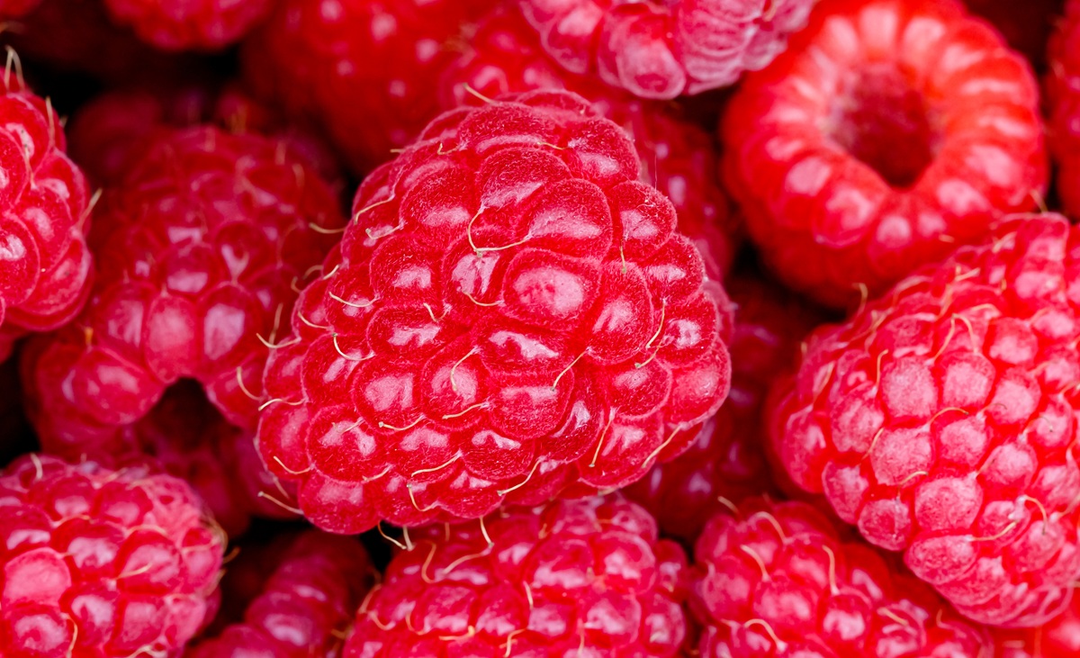 Las frambuesas podrían ayudar a la salud cognitiva y metabólica