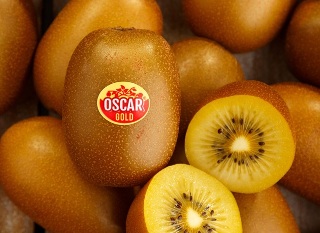 Kiwis Primland: cosecha chilena crece 20% mientras la temporada sudafricana comienza con fuerza