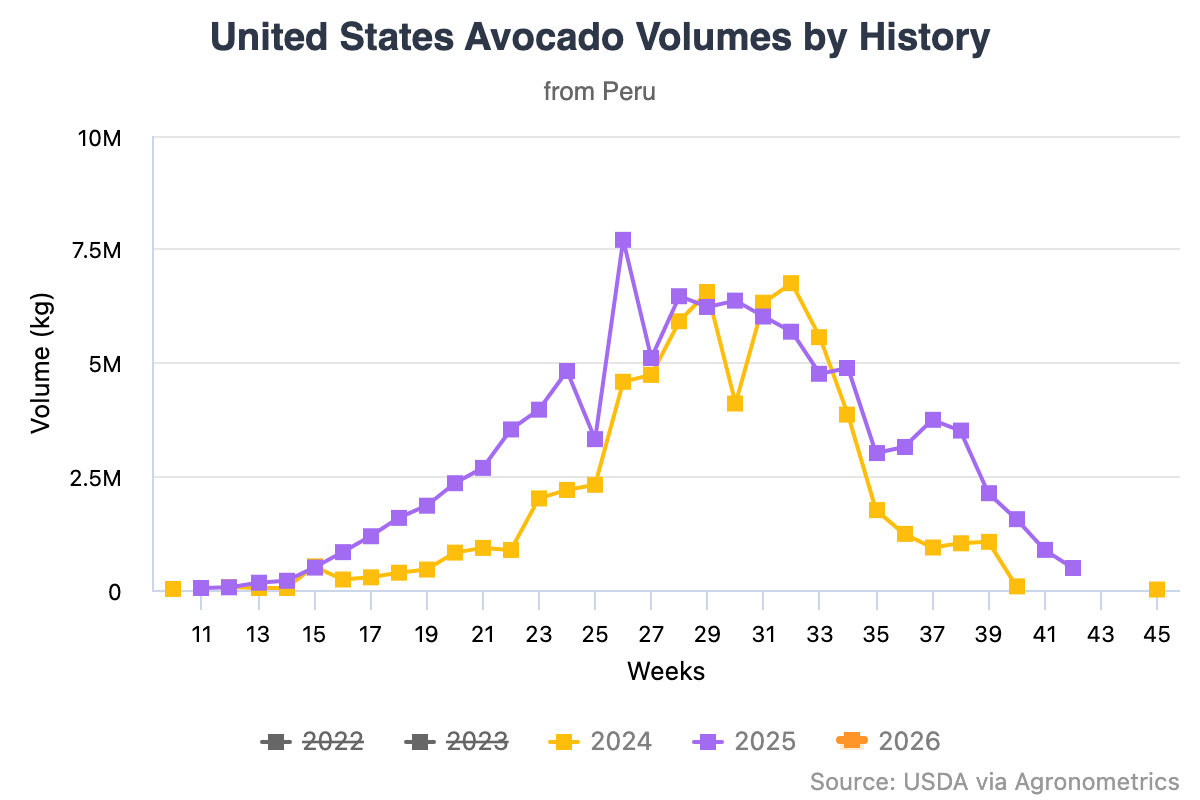 La industria de la palta de Perú se expande y el crecimiento de las exportaciones pone a prueba el equilibrio del mercado